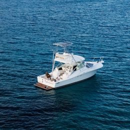 Luhrs 320 Open | Miracolo