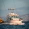 Luhrs 320 Open | Miracolo