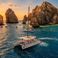 Custom Built 50 | La Tortuga