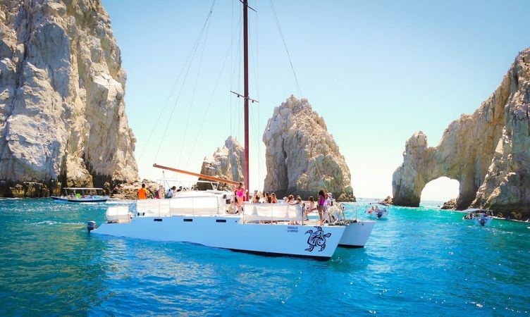 Custom Built 50 | La Tortuga