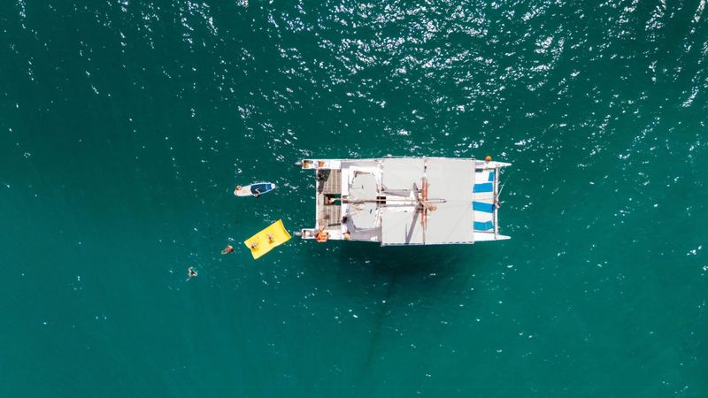 Custom Built 50 | La Tortuga