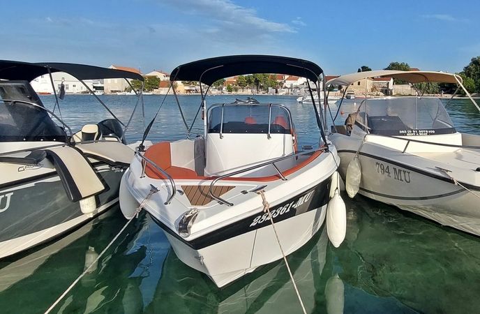 Barracuda 545 | 24