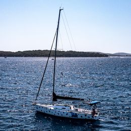 J&J Val 35 | Dalmatian