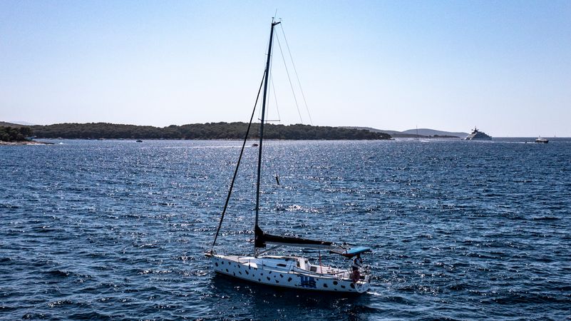 J&J Val 35 | Dalmatian