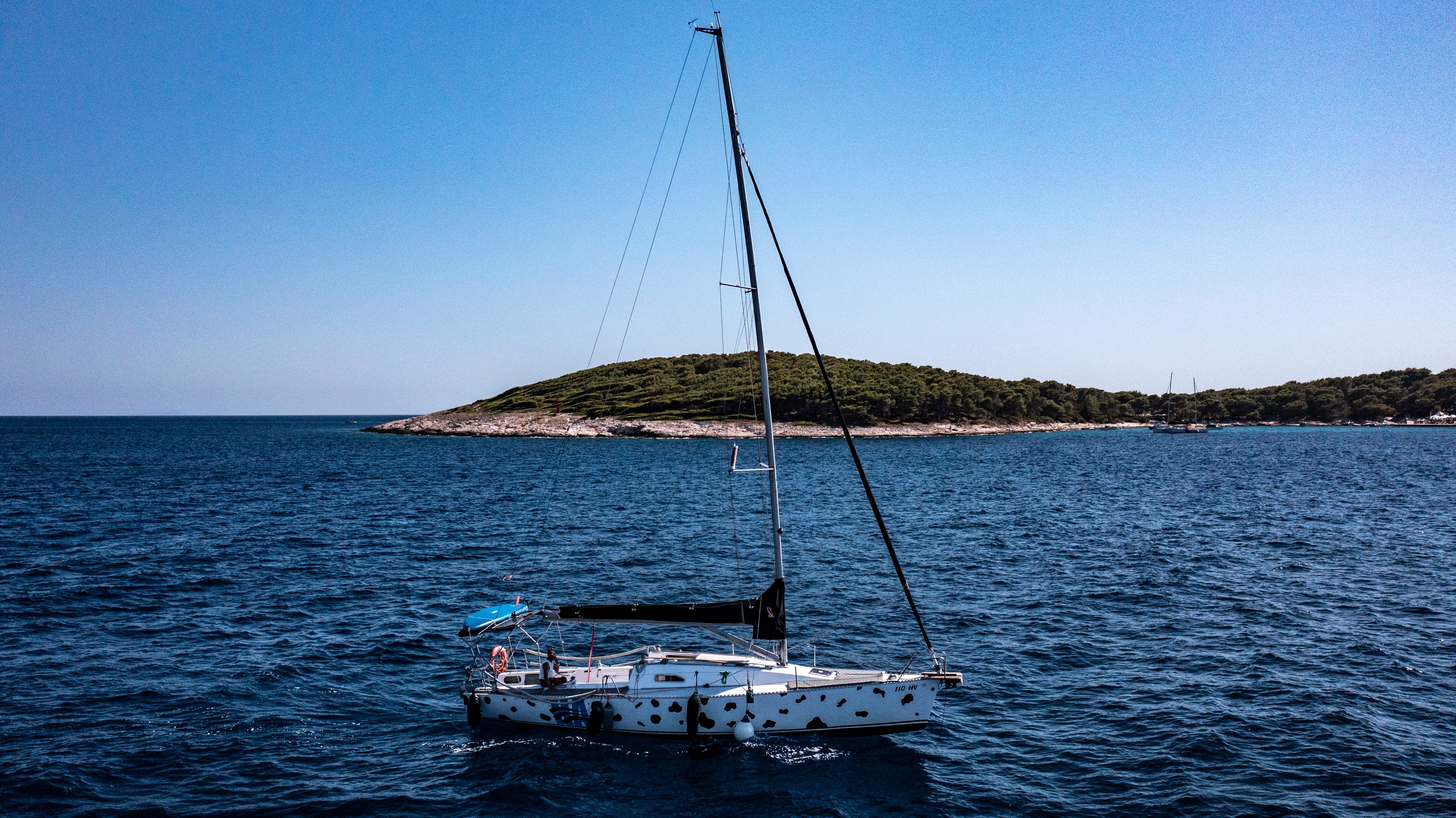 J&J Val 35 | Dalmatian