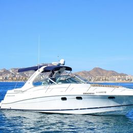 Four Winns 378 Vista | Coqueto