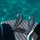 Joker Clubman 28 | Ionia
