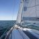 Sirius 35 | New