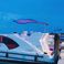 Le Boat Minuetto 6 | Comfort 1