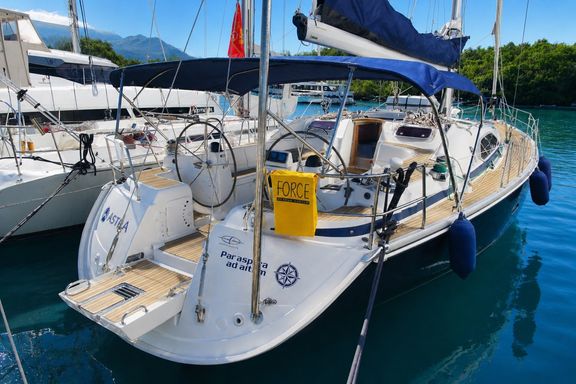 Vision 50