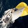 Dufour 48 | Tranquila
