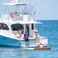 Custom Built 44 | Lupo 2
