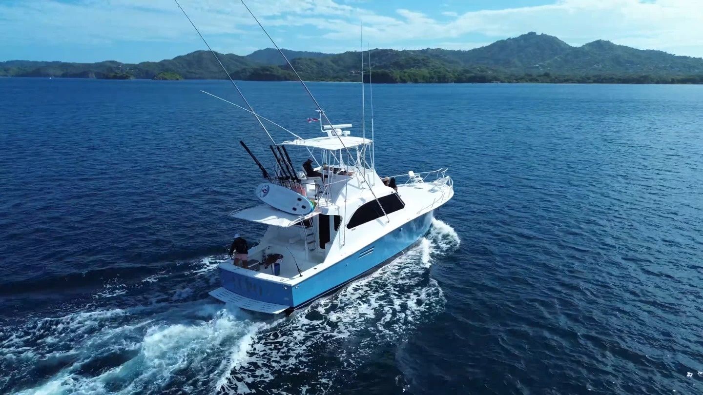 Custom Built 44 | Lupo 2