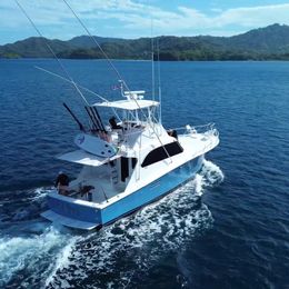 Custom Built 44 | Lupo 2