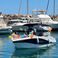 Barracuda 545 | Calypso
