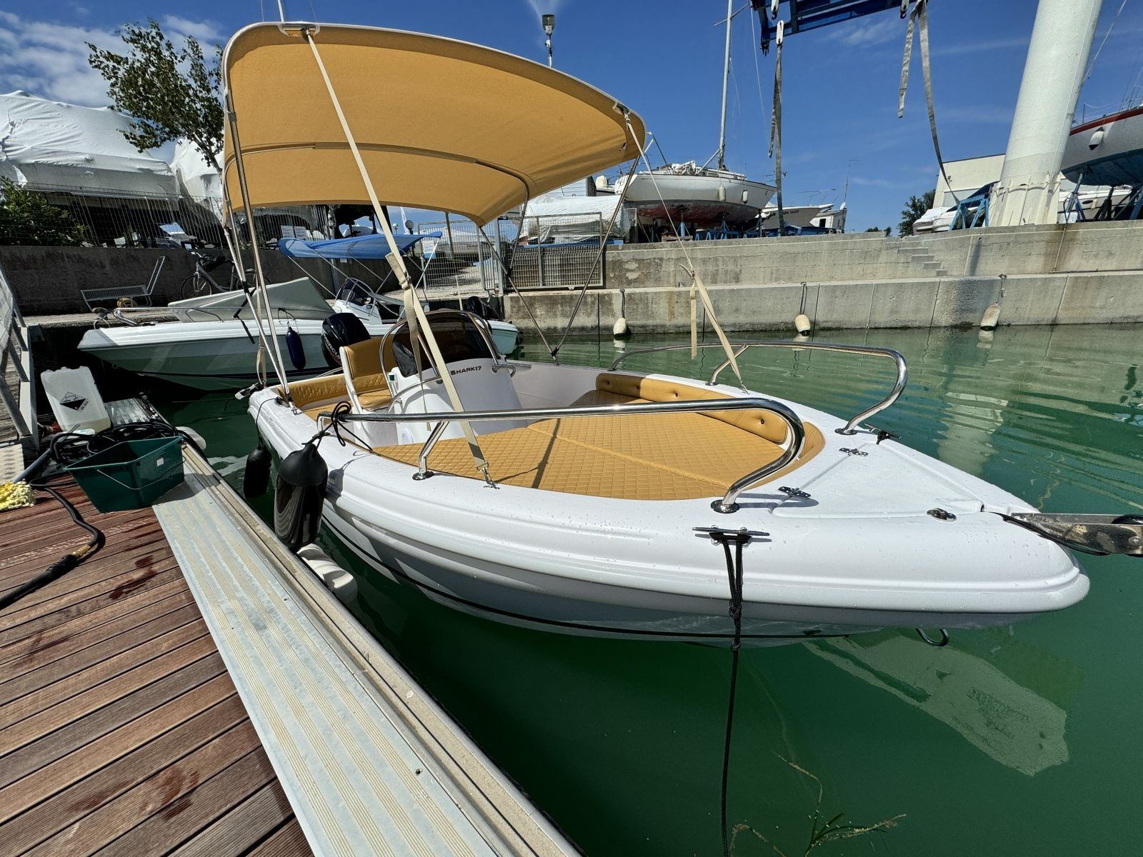 Ranieri Shark | 25
