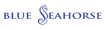 Sailing with Blue Seahorse
