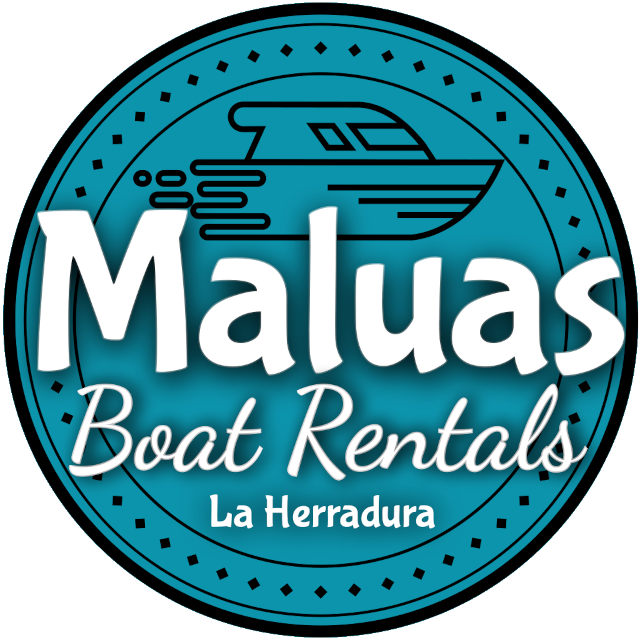 Maluas Boat Rentals