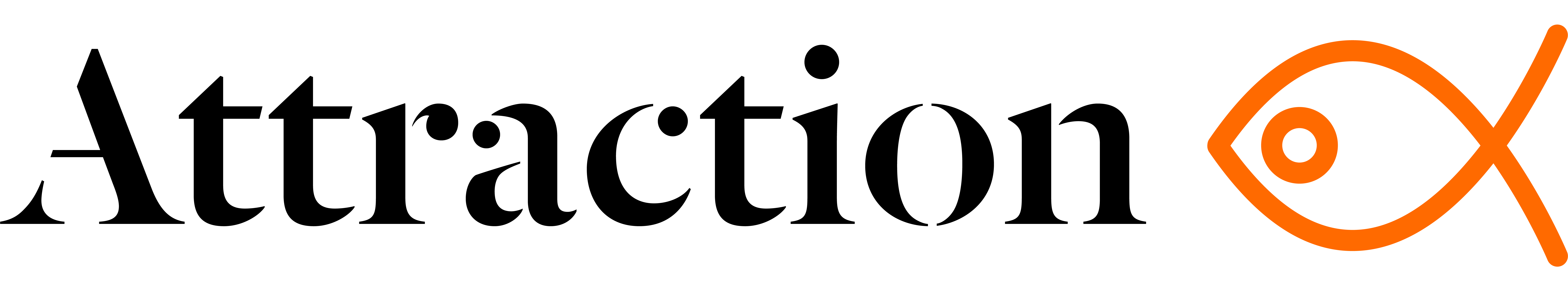 Attraction Catamarans