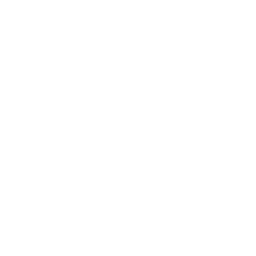 Sea Lion Sailing