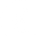 Sea Lion Sailing