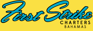 First Strike Charters
