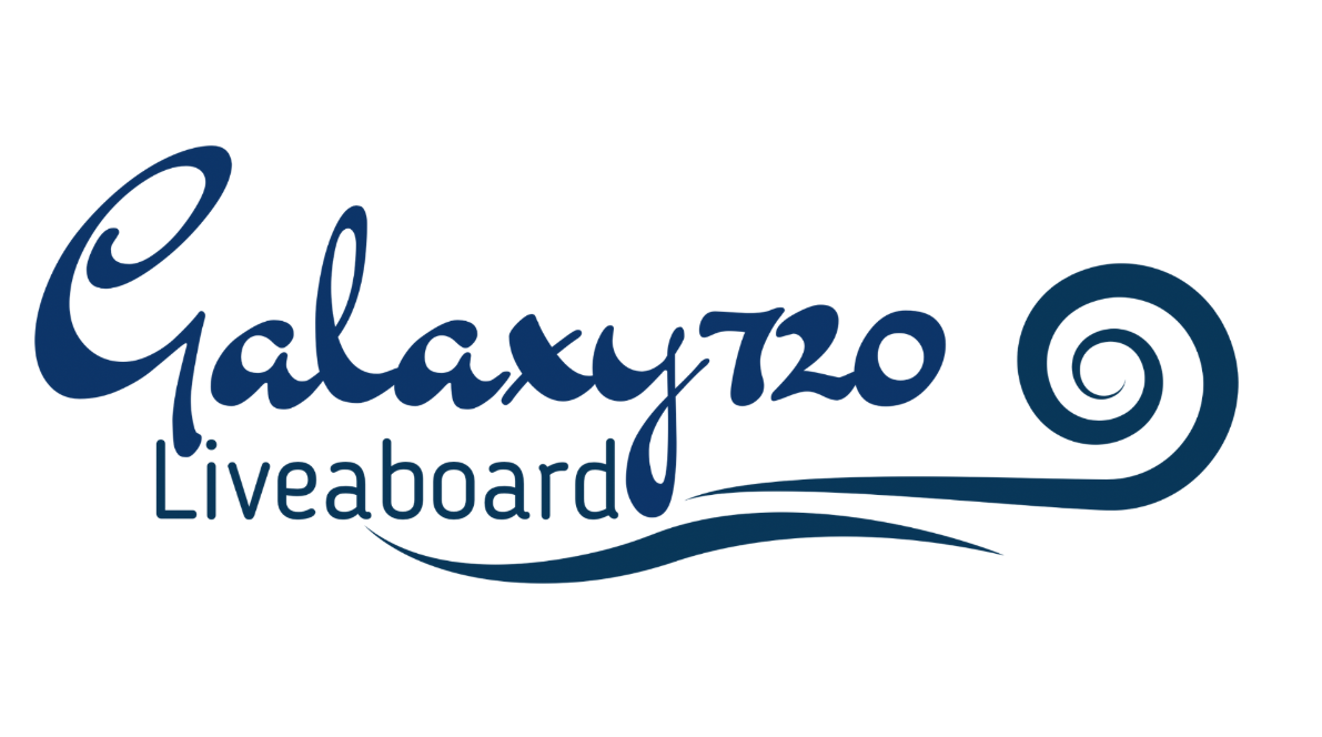 Galaxy 720 liveaboard