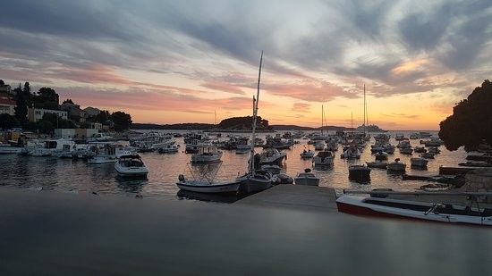 Reful 490 | Reful Open 2