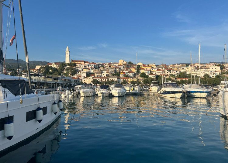 Shadow 20 | Shadow  1