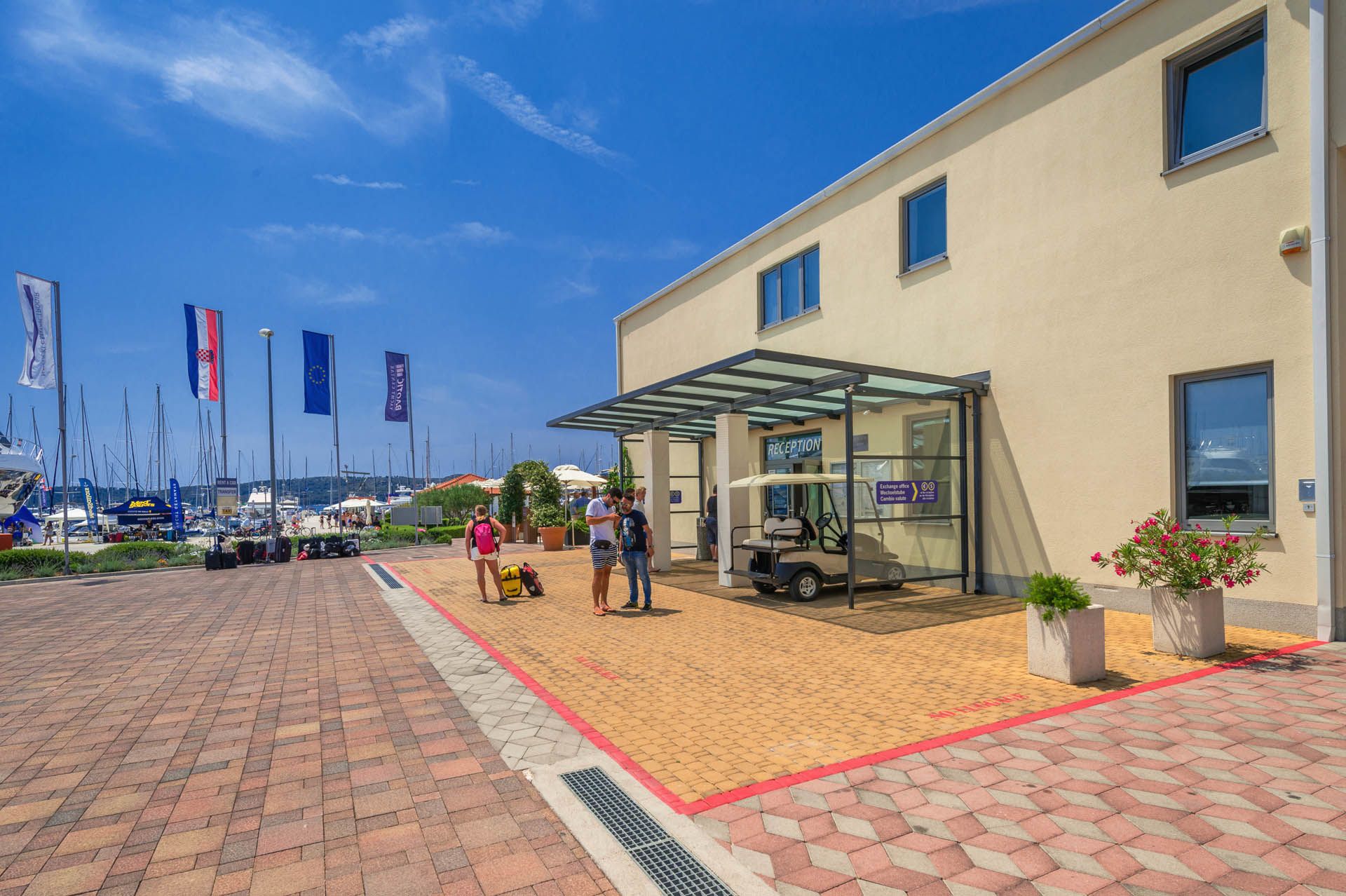 Bali Catsmart | Go With The Flow