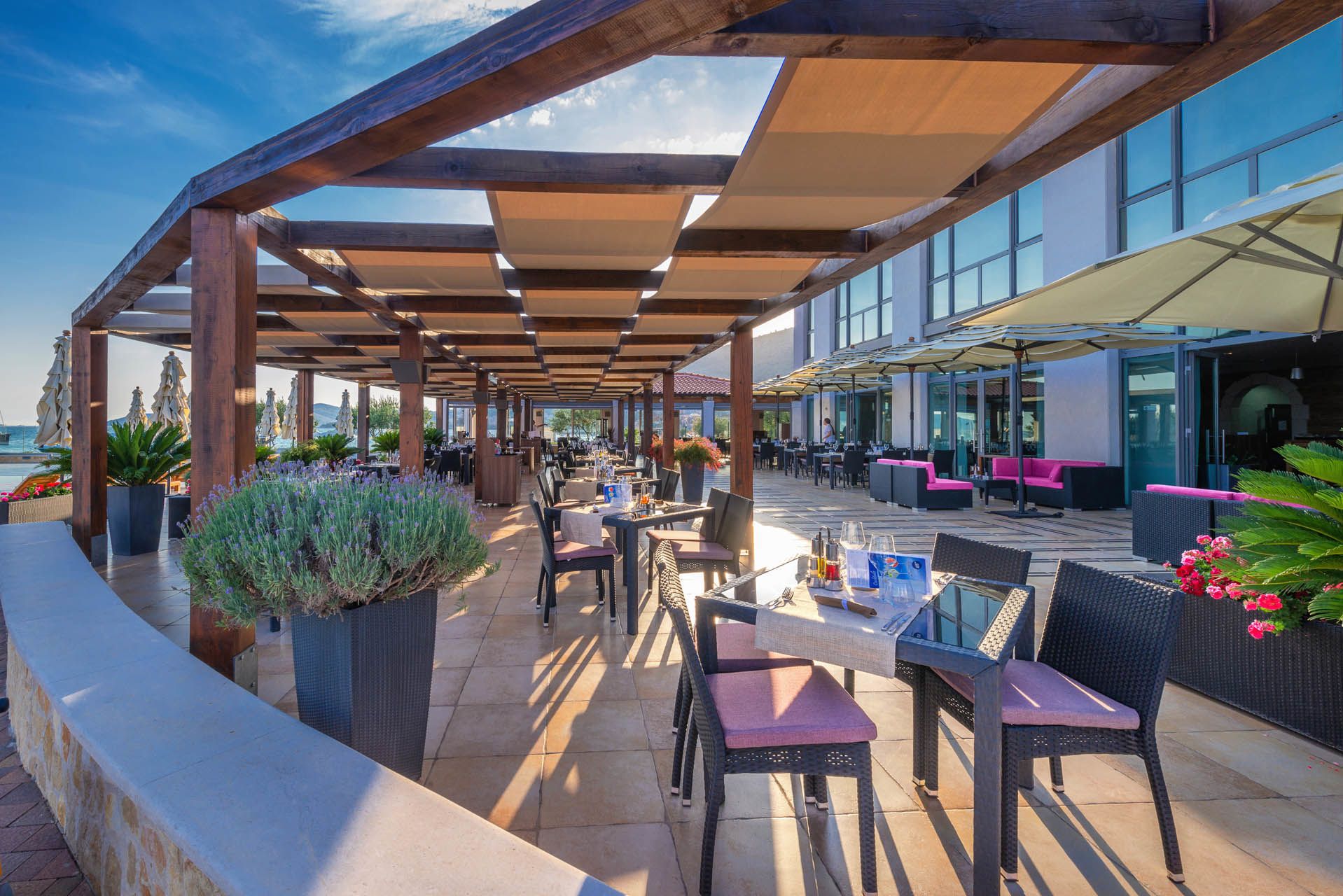 Bali Catsmart | Go With The Flow