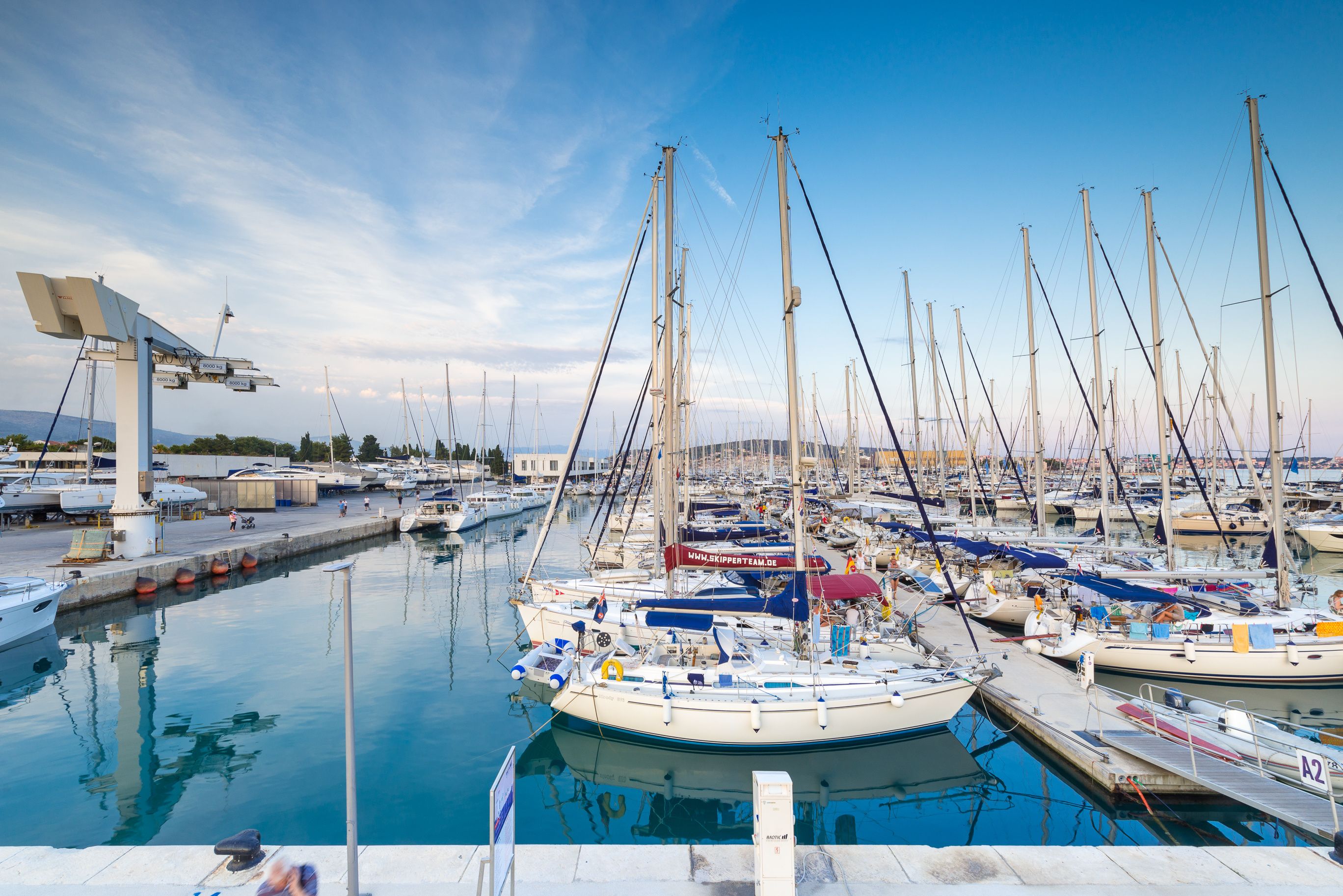 Bali Catsmart | Go With The Flow