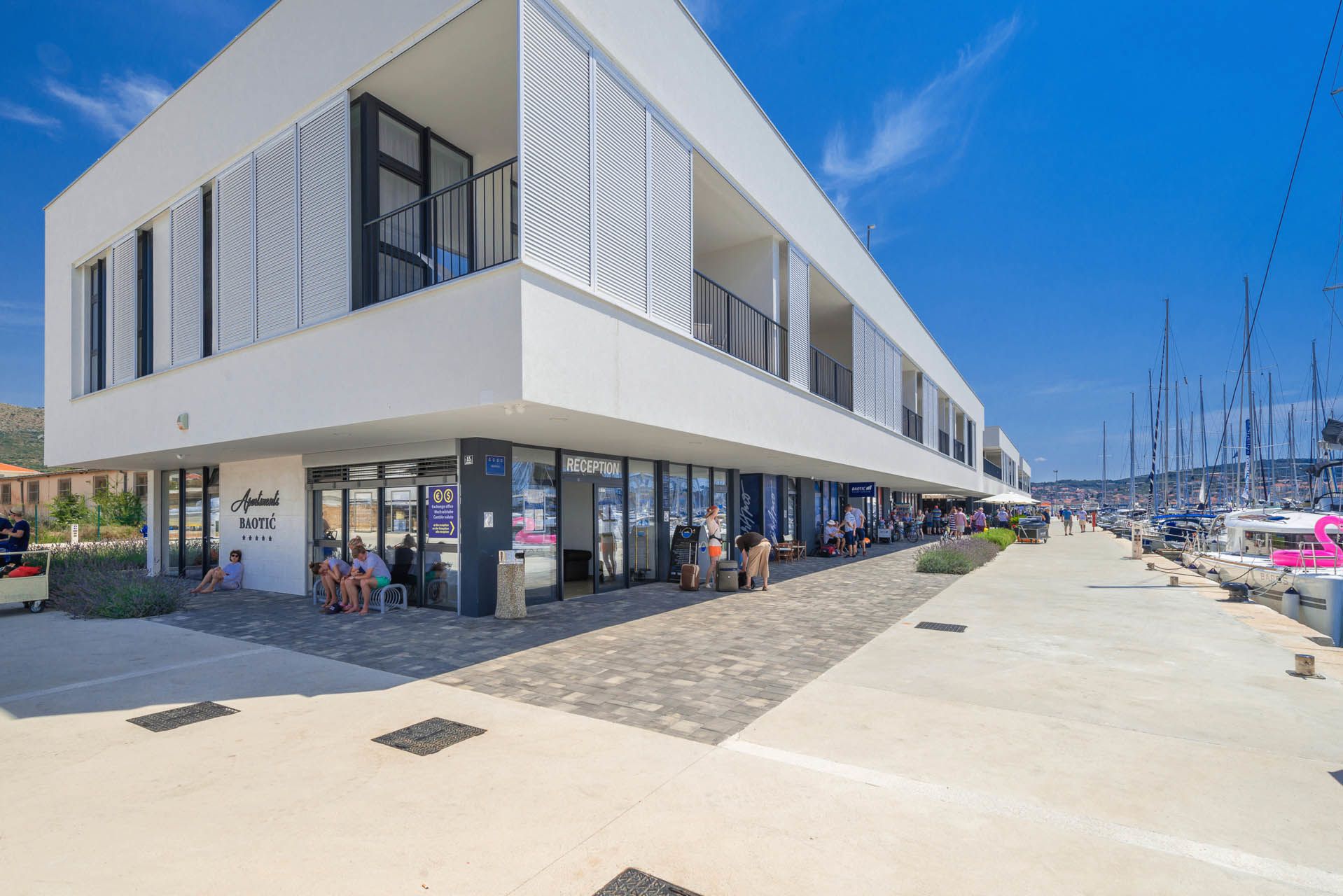 Bali Catsmart | Go With The Flow