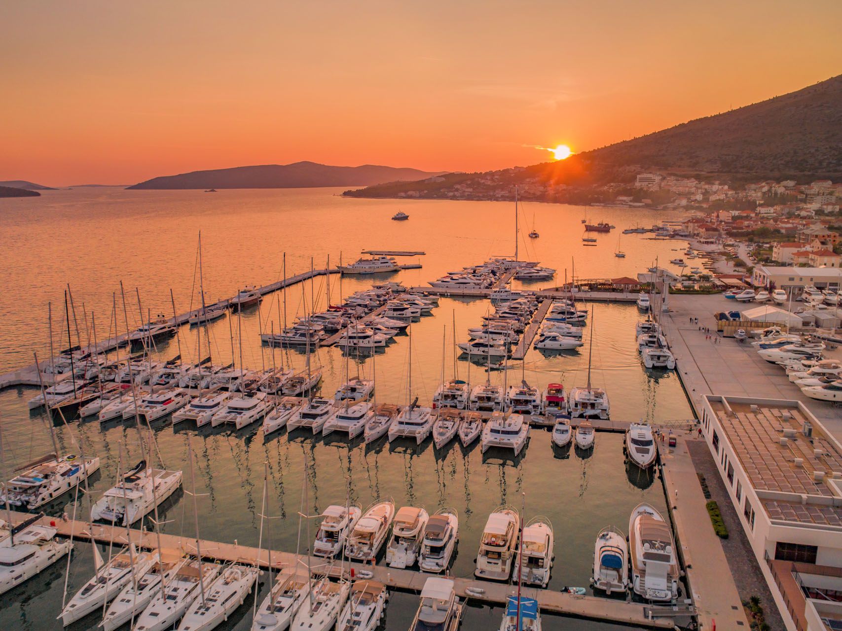 Bali Catsmart | Go With The Flow