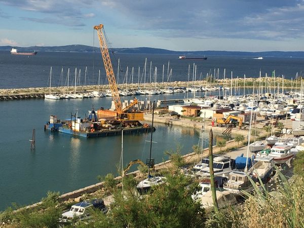 Leut 1950 | Vagabundo