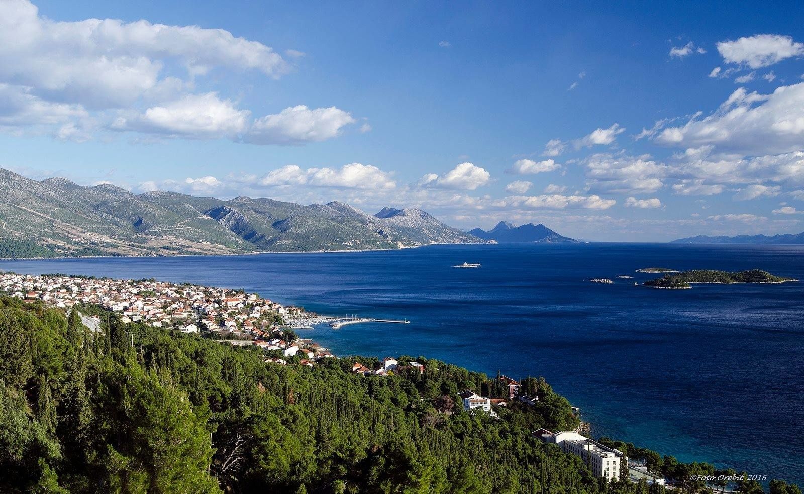 Marlin 790 Dynamic | 22