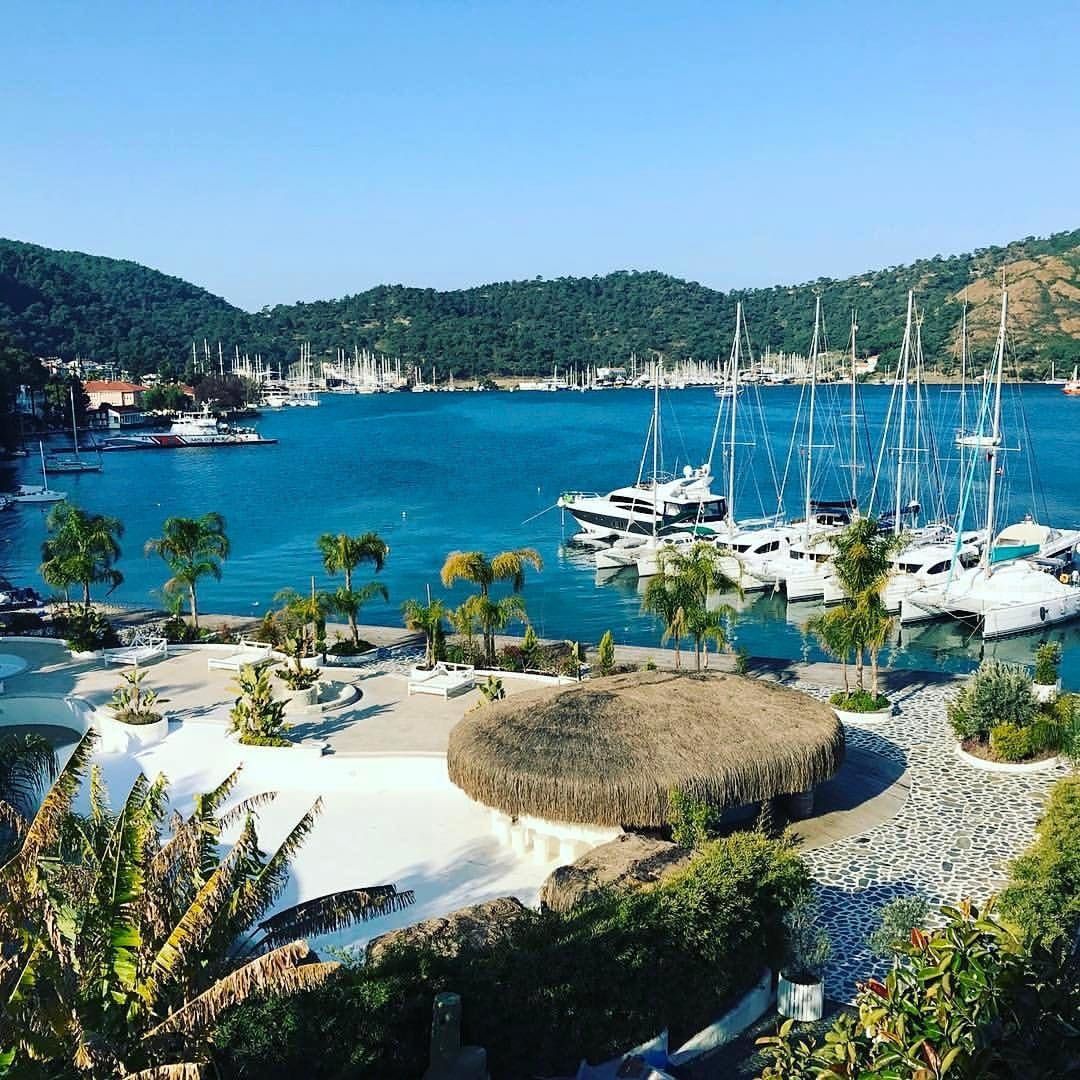 Bali Catspace | Daydream