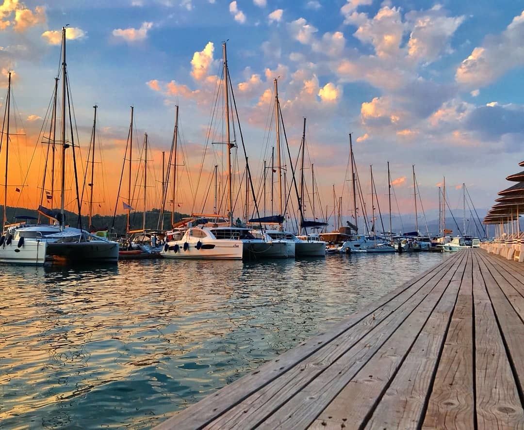 Bali Catspace | Daydream