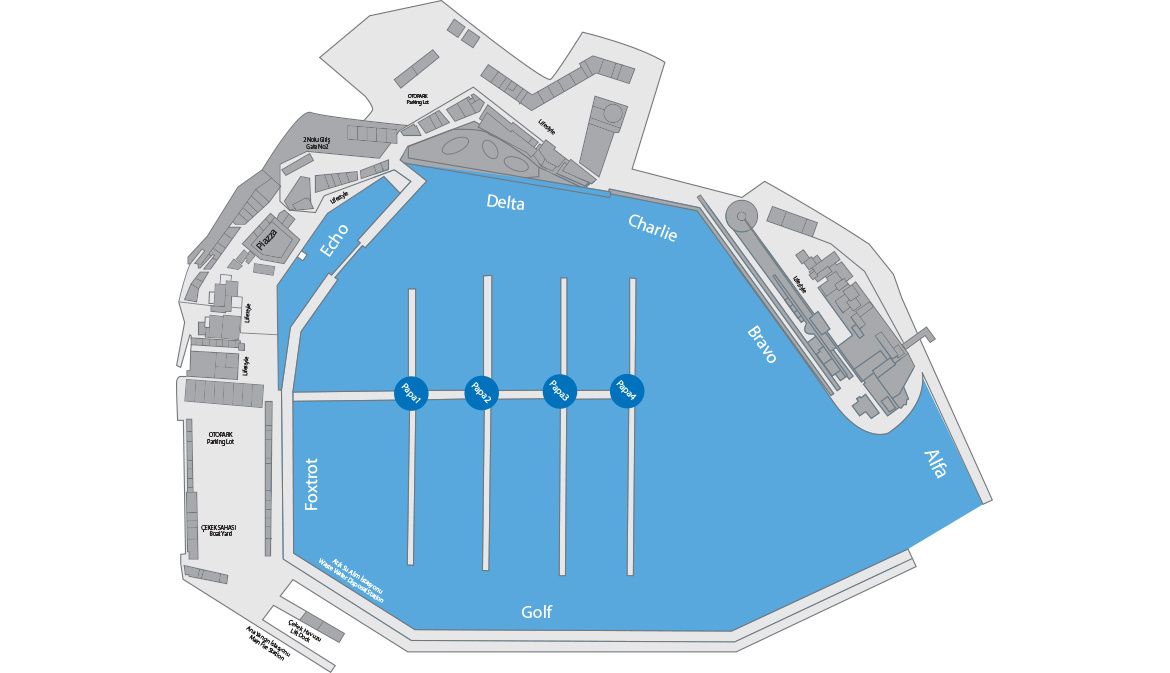 Custom Built 72 | Mirbey