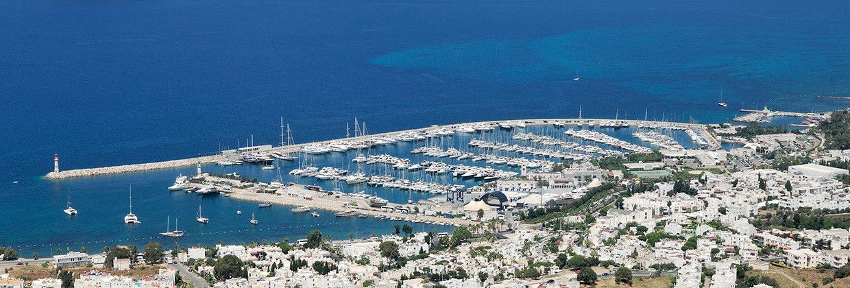 Bavaria Cruiser 46 | T-Rex