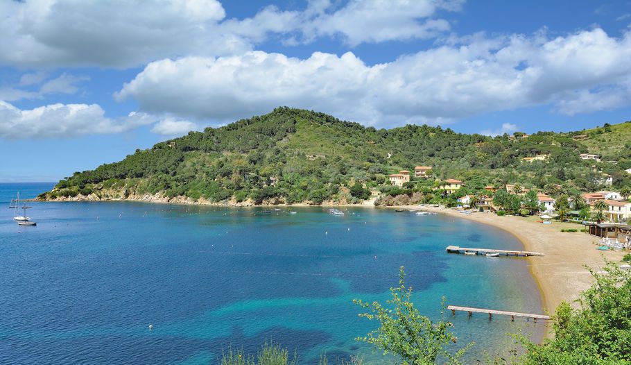 Predator 599 | Predator