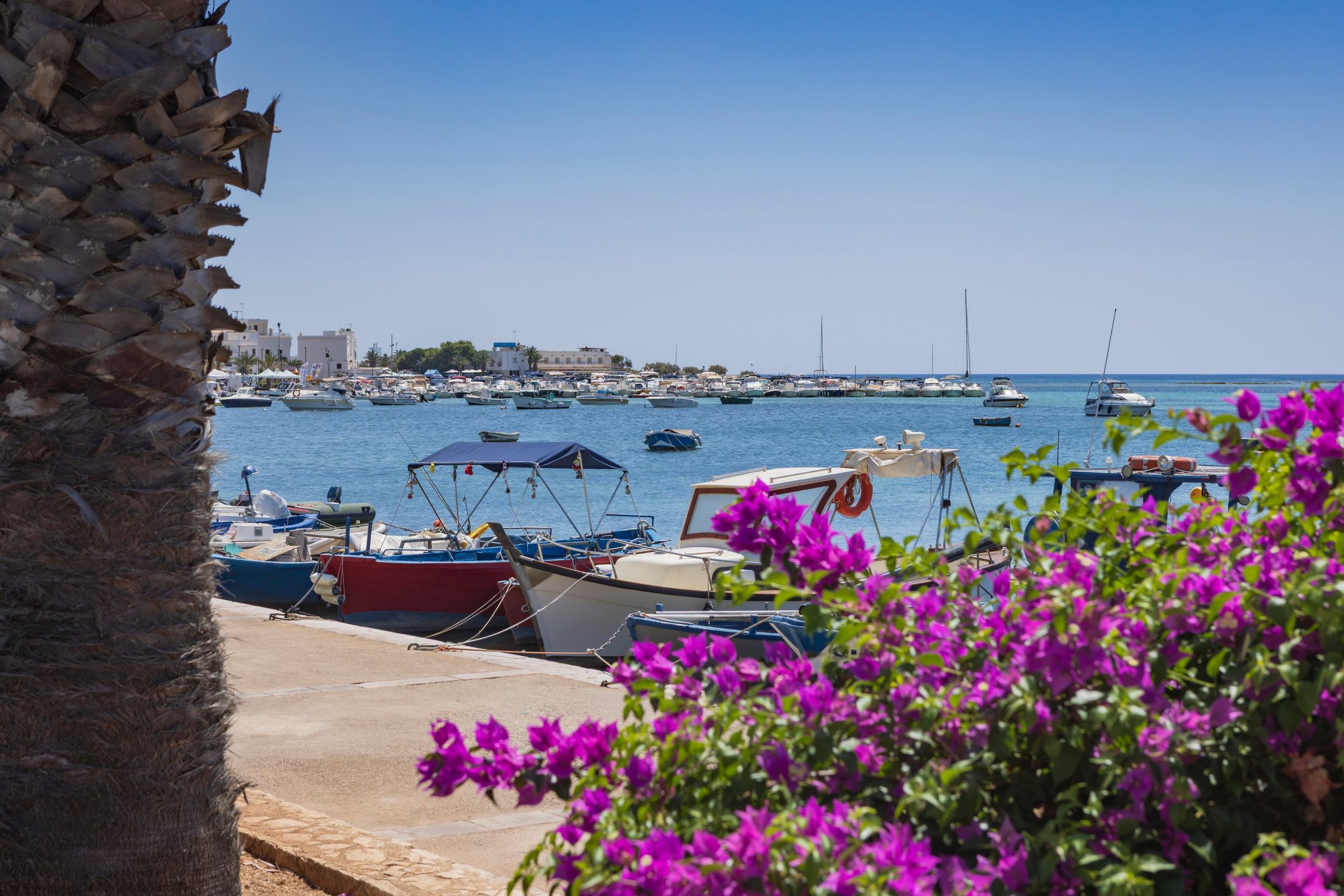 Prototipo Bergamini 50 | Double Trouble