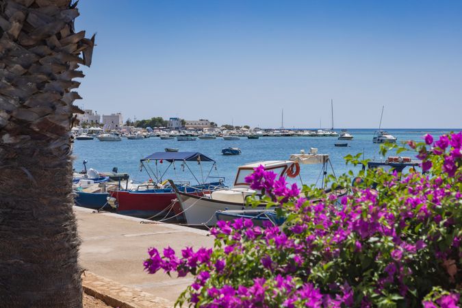 Enterprise 46 | Marina Macrial