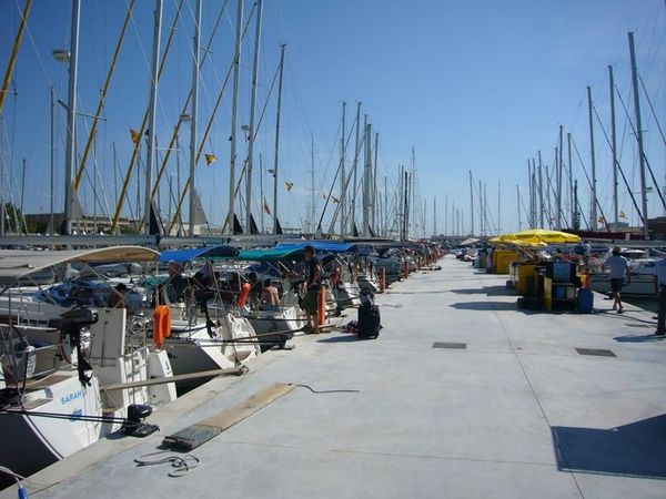 Jeanneau Sun Odyssey 419 | Para Elli