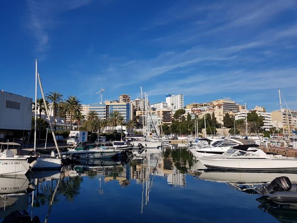 Mangusta 72 | That's Amore