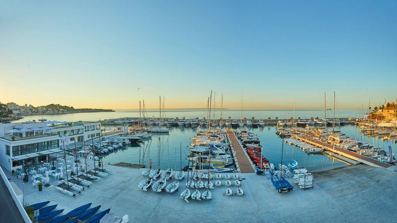 Absolute 56 | Portals Hills