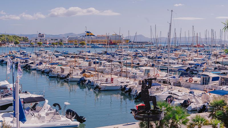 Custom Built Llaut | San Francisco