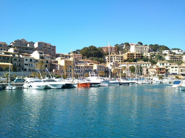 Nuova Jolly King Extreme 990 | Tripona's