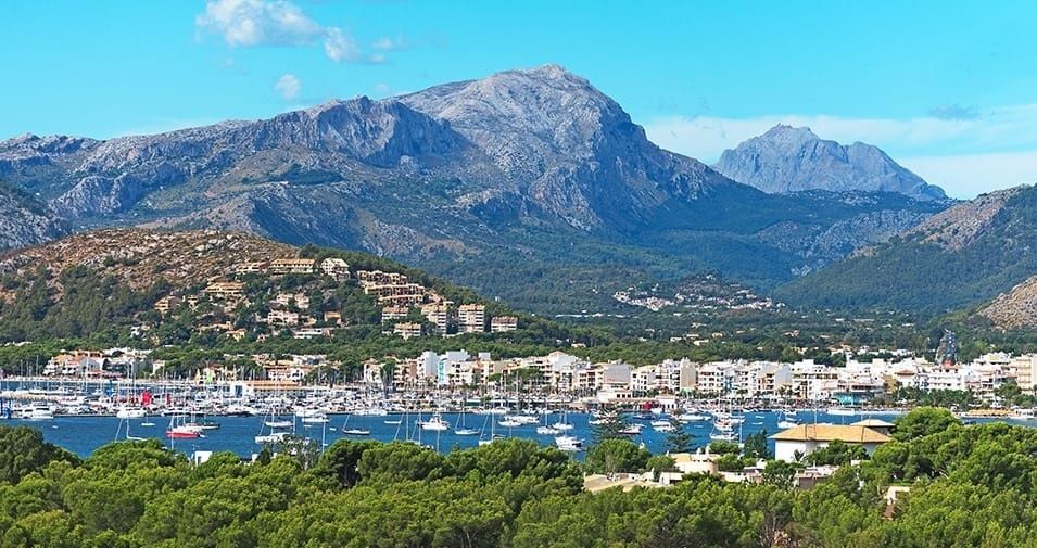 Blasco 80 | Fetch Uno