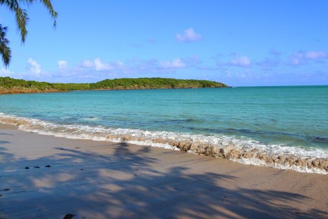 Grady White Canyon 336 | 23